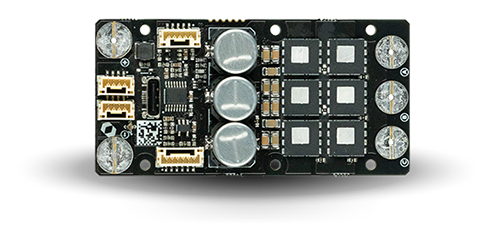 Top View Bare Shadow Small